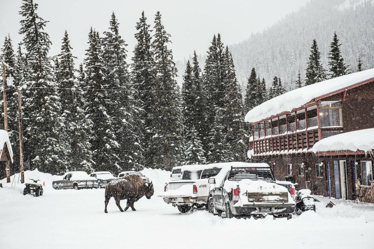 High Country Motel And Cabins 库克市 外观 照片